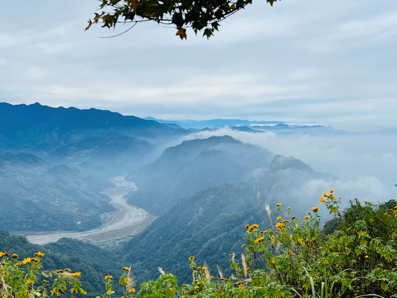 manapanggg48 泰安-馬那邦山 登頂的一抹楓紅