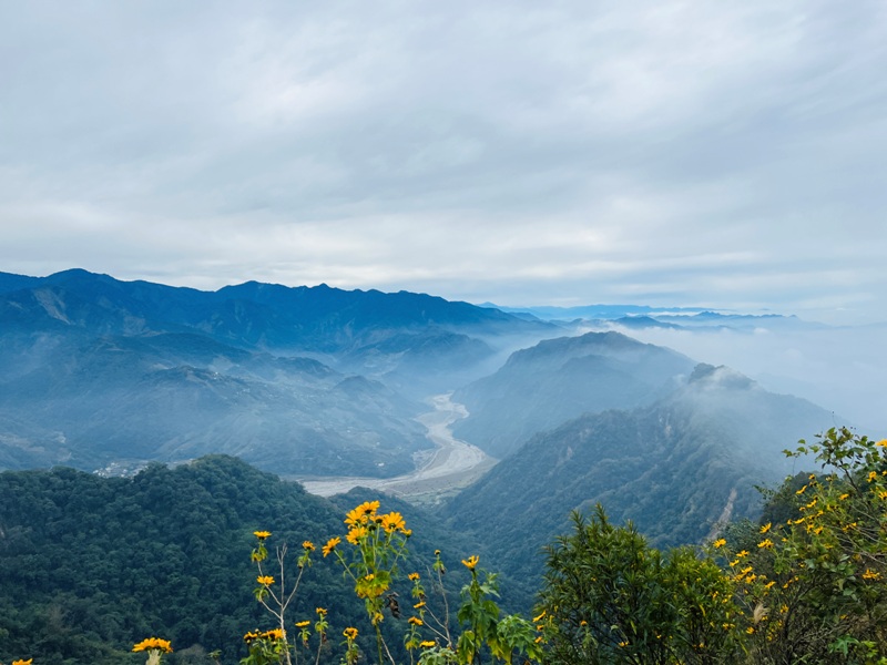 manapanggg49 泰安-馬那邦山 登頂的一抹楓紅
