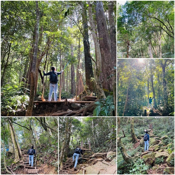 ptlaman01 尖石-北得拉曼山 迴音谷神木巨石瀑布