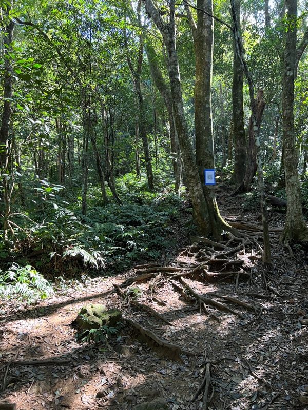 ptlaman04-rotated 尖石-北得拉曼山 迴音谷神木巨石瀑布