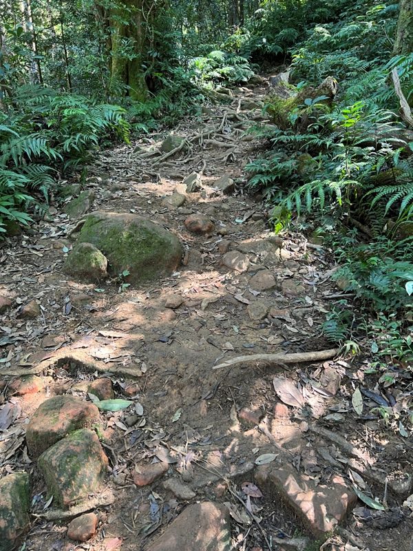 ptlaman05-rotated 尖石-北得拉曼山 迴音谷神木巨石瀑布