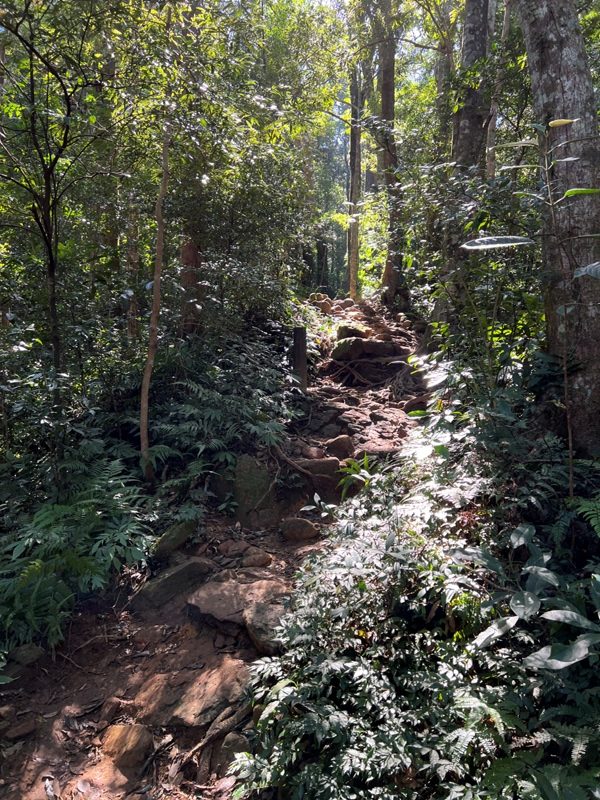 ptlaman06-rotated 尖石-北得拉曼山 迴音谷神木巨石瀑布