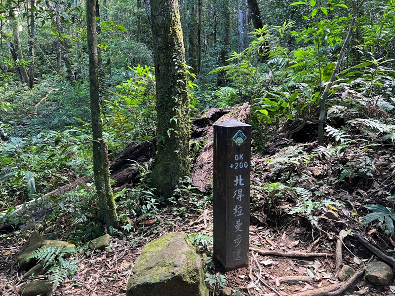 ptlaman09 尖石-北得拉曼山 迴音谷神木巨石瀑布