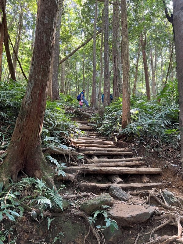 ptlaman10-rotated 尖石-北得拉曼山 迴音谷神木巨石瀑布