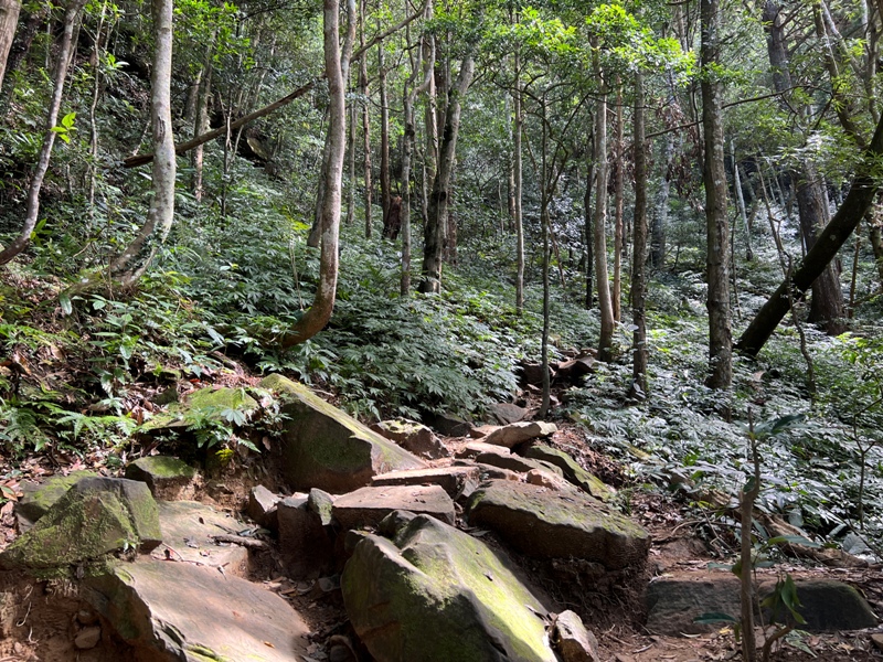 ptlaman11 尖石-北得拉曼山 迴音谷神木巨石瀑布