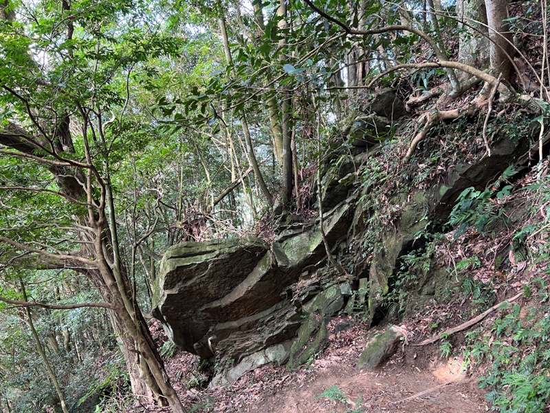 ptlaman12 尖石-北得拉曼山 迴音谷神木巨石瀑布