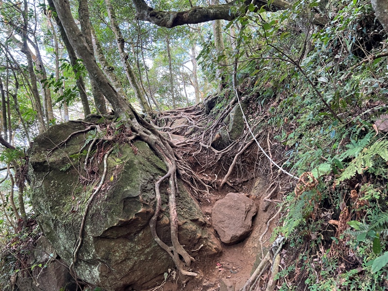 ptlaman17 尖石-北得拉曼山 迴音谷神木巨石瀑布