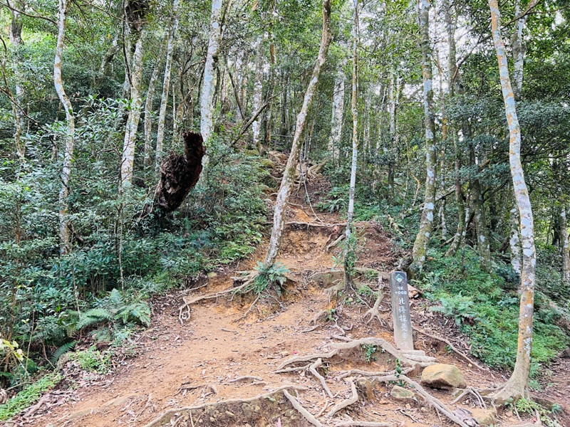 ptlaman19 尖石-北得拉曼山 迴音谷神木巨石瀑布