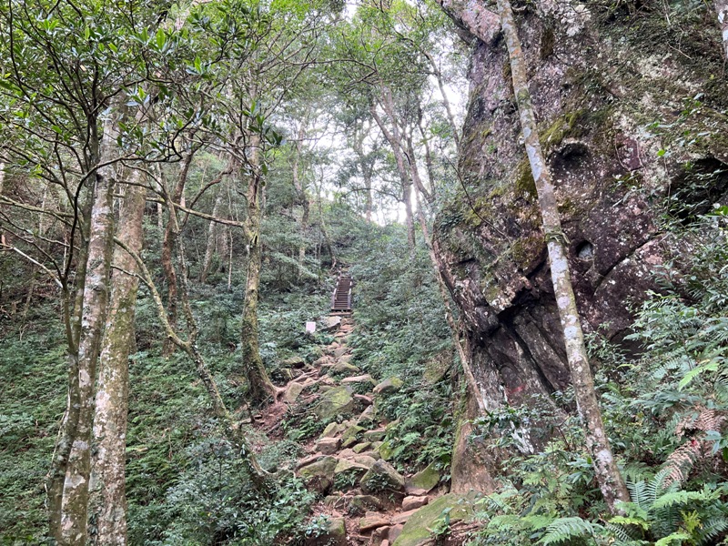 ptlaman21 尖石-北得拉曼山 迴音谷神木巨石瀑布