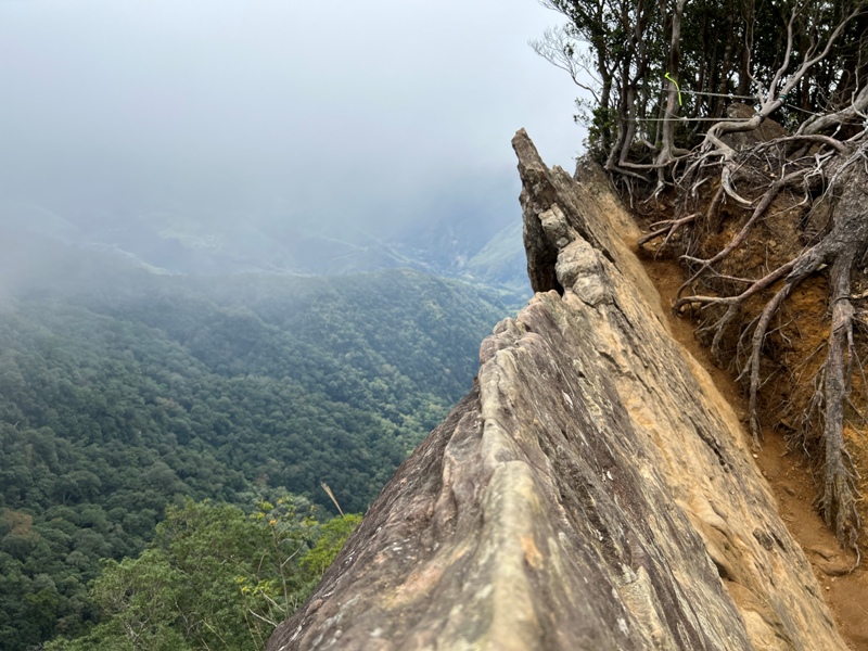 ptlaman23 尖石-北得拉曼山 迴音谷神木巨石瀑布