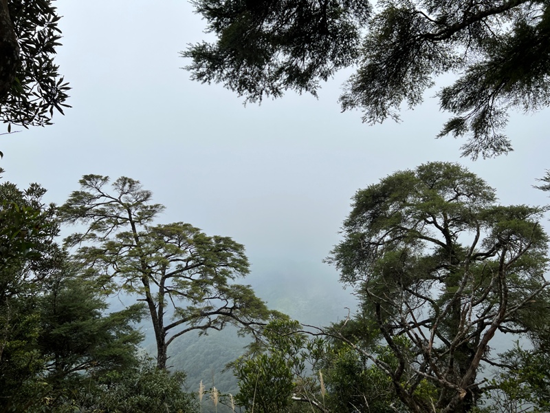 ptlaman24 尖石-北得拉曼山 迴音谷神木巨石瀑布