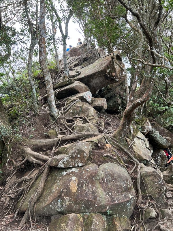 ptlaman25-rotated 尖石-北得拉曼山 迴音谷神木巨石瀑布