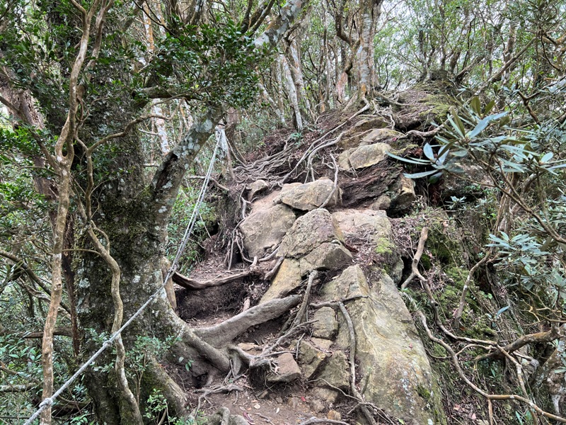 ptlaman27 尖石-北得拉曼山 迴音谷神木巨石瀑布