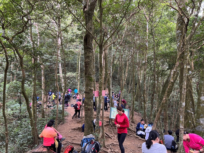 ptlaman29 尖石-北得拉曼山 迴音谷神木巨石瀑布