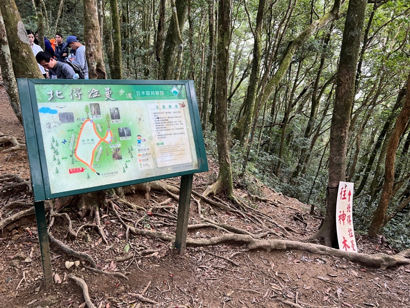 ptlaman30 尖石-北得拉曼山 迴音谷神木巨石瀑布