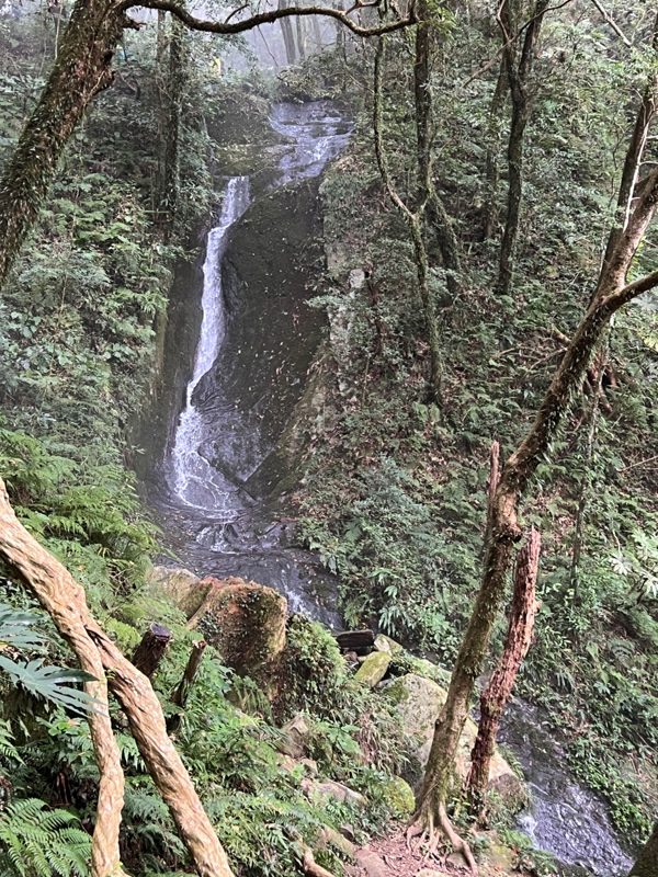 ptlaman36-rotated 尖石-北得拉曼山 迴音谷神木巨石瀑布