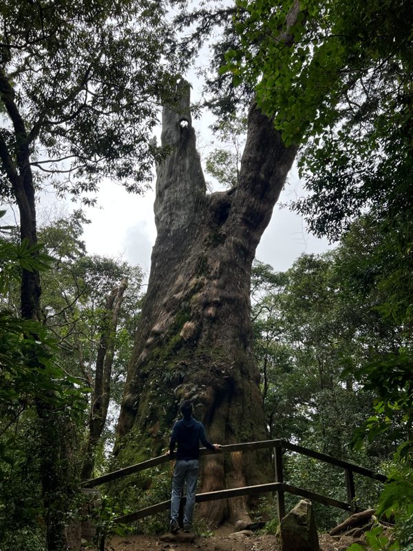 ptlaman37-rotated 尖石-北得拉曼山 迴音谷神木巨石瀑布