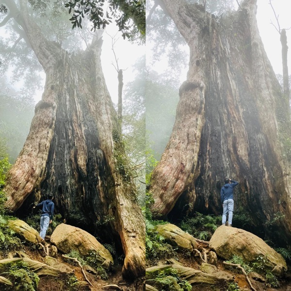 ptlaman38 尖石-北得拉曼山 迴音谷神木巨石瀑布