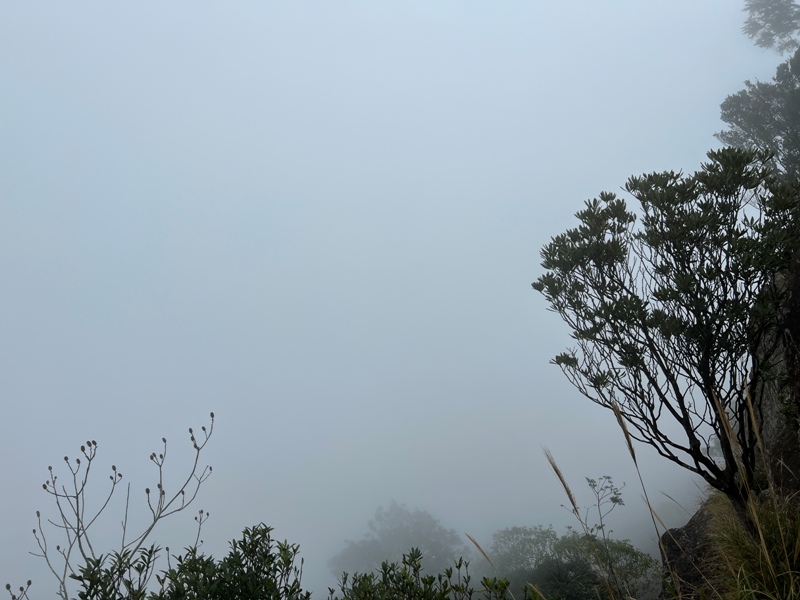 ptlaman39 尖石-北得拉曼山 迴音谷神木巨石瀑布