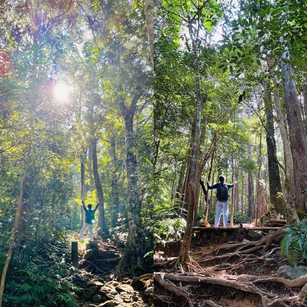 ptlaman41 尖石-北得拉曼山 迴音谷神木巨石瀑布