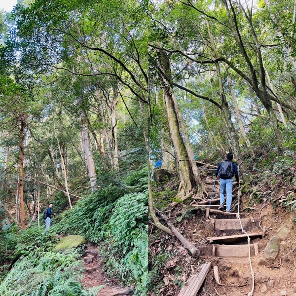 ptlaman42 尖石-北得拉曼山 迴音谷神木巨石瀑布