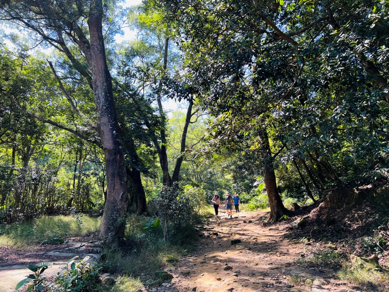 shihmen08 龍潭-石門山 眺望最美的石門水庫