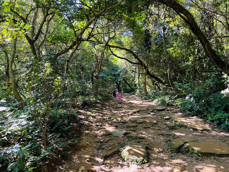 shihmen09 龍潭-石門山 眺望最美的石門水庫