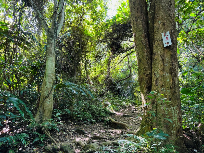 shihmen14 龍潭-石門山 眺望最美的石門水庫