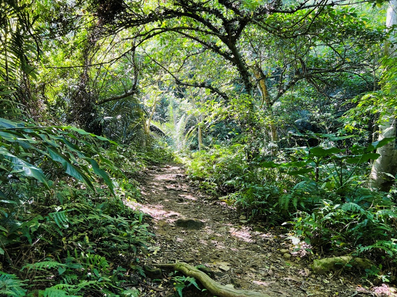 shihmen15 龍潭-石門山 眺望最美的石門水庫