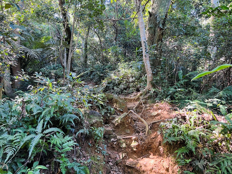 shihmen16 龍潭-石門山 眺望最美的石門水庫