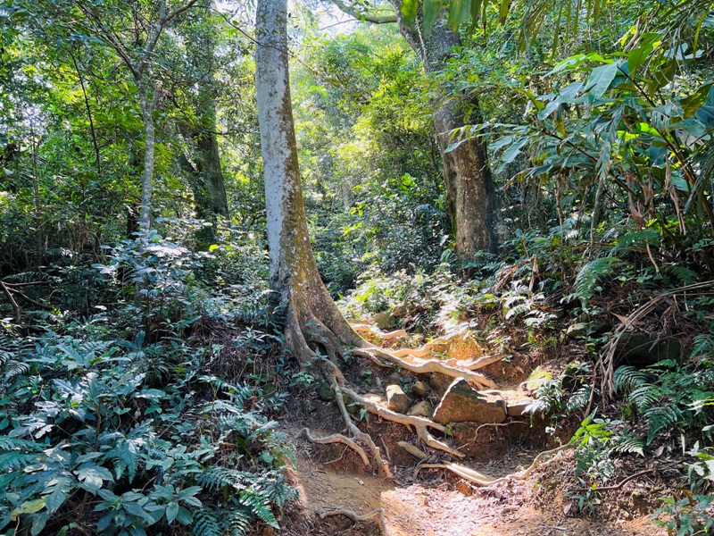 shihmen17 龍潭-石門山 眺望最美的石門水庫
