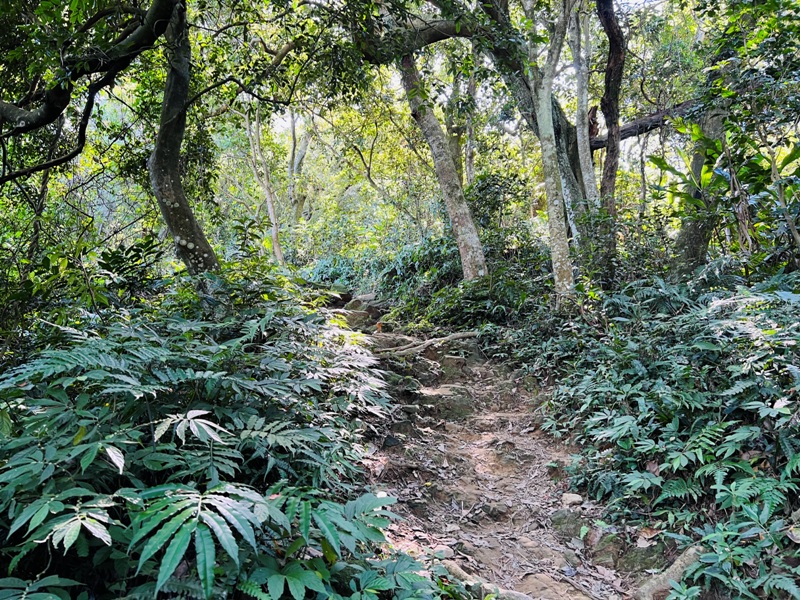 shihmen18 龍潭-石門山 眺望最美的石門水庫