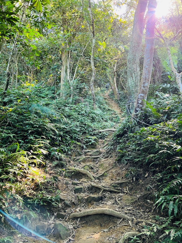 shihmen19 龍潭-石門山 眺望最美的石門水庫