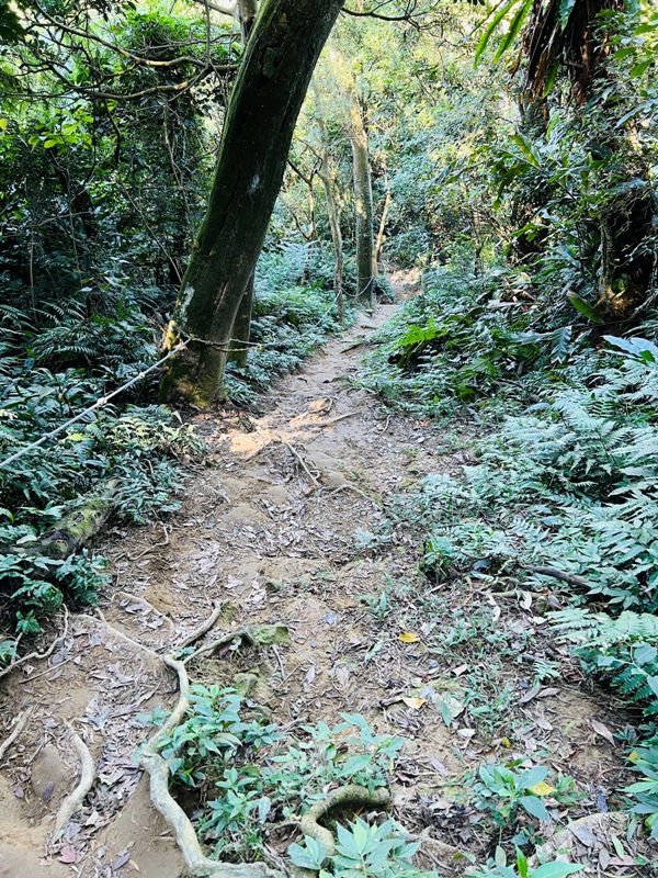 shihmen23 龍潭-石門山 眺望最美的石門水庫