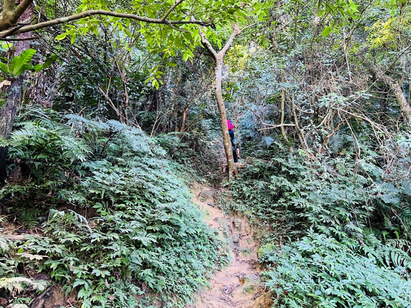 shihmen26 龍潭-石門山 眺望最美的石門水庫