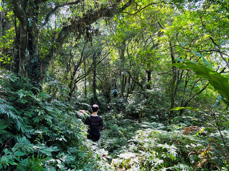 shihmen33 龍潭-石門山 眺望最美的石門水庫