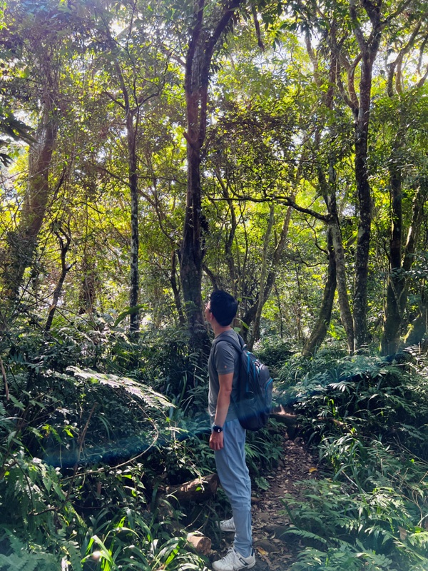 龍潭-石門山 眺望最美的石門水庫