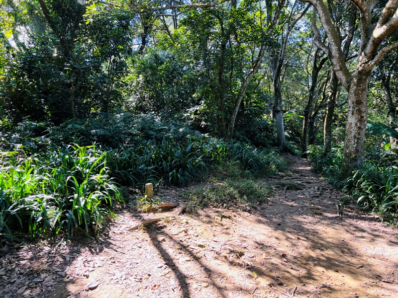 shihmen35 龍潭-石門山 眺望最美的石門水庫