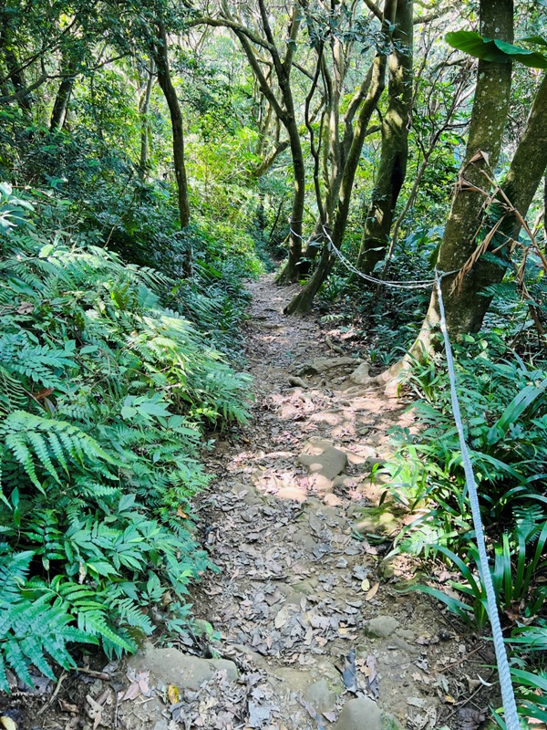 shihmen37 龍潭-石門山 眺望最美的石門水庫