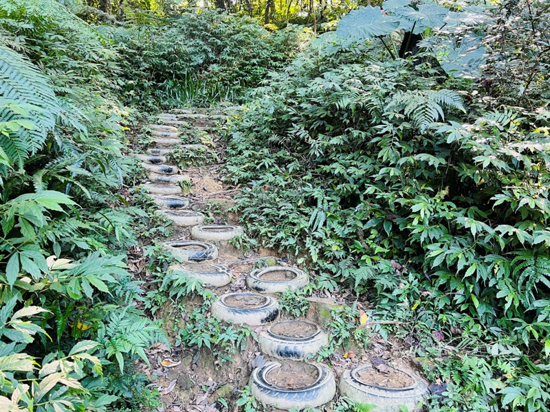 shihmen39 龍潭-石門山 眺望最美的石門水庫