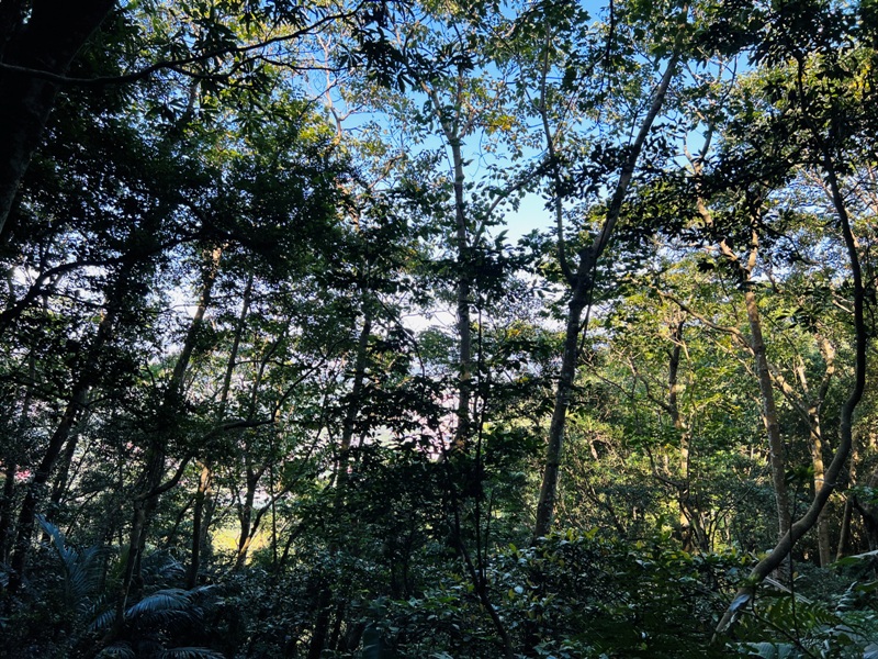 shihmen40 龍潭-石門山 眺望最美的石門水庫