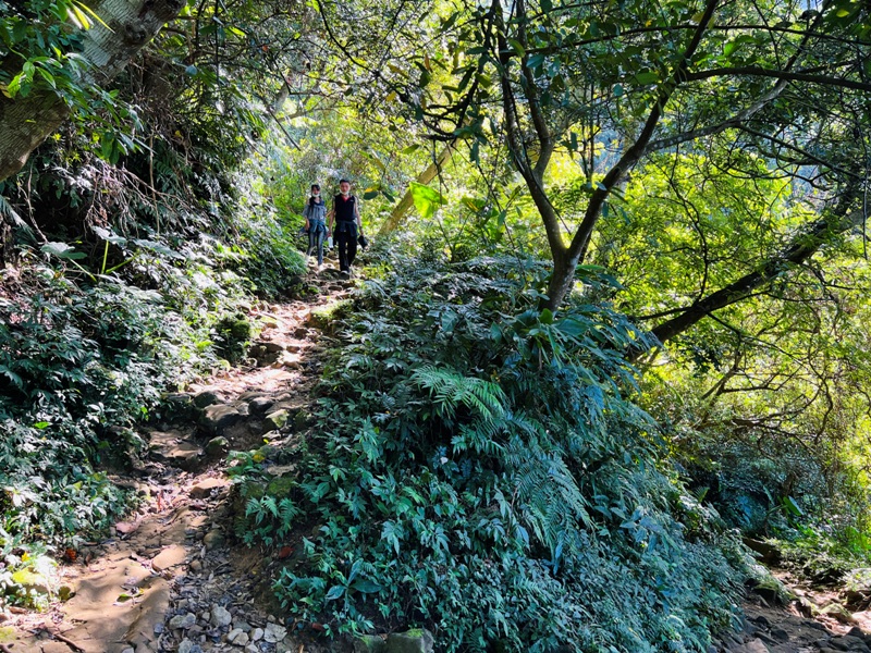 shihmen41 龍潭-石門山 眺望最美的石門水庫