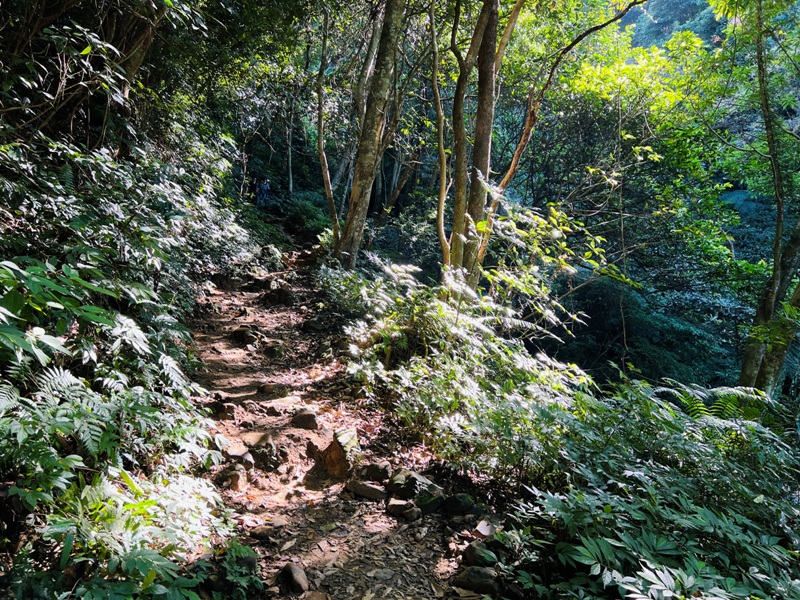 shihmen43 龍潭-石門山 眺望最美的石門水庫