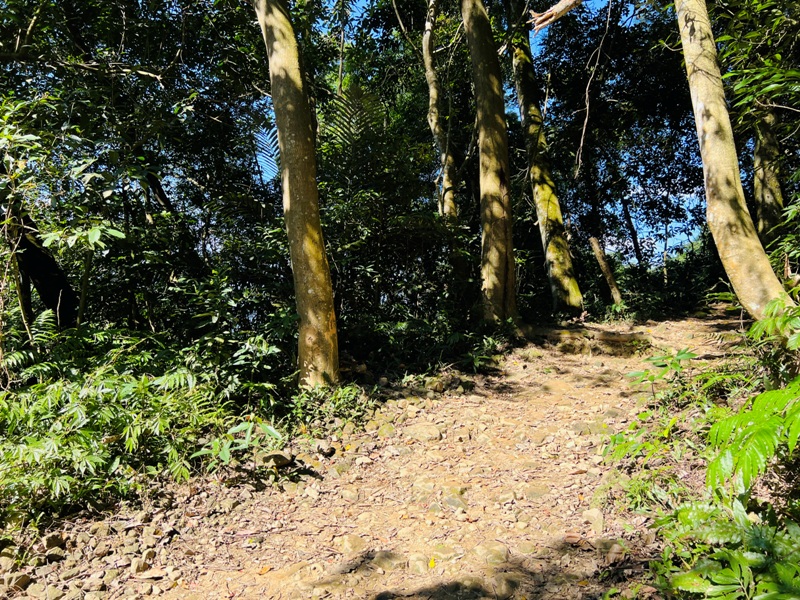 shihmen44 龍潭-石門山 眺望最美的石門水庫