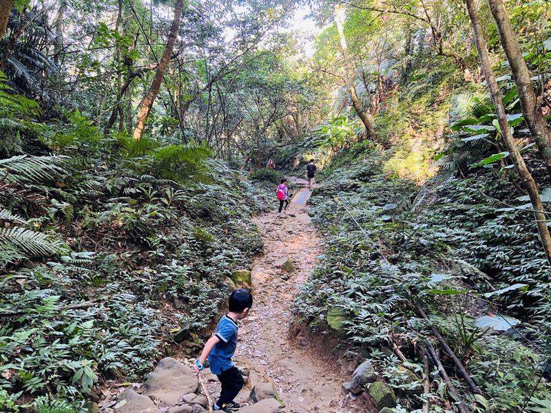 shihmen46 龍潭-石門山 眺望最美的石門水庫