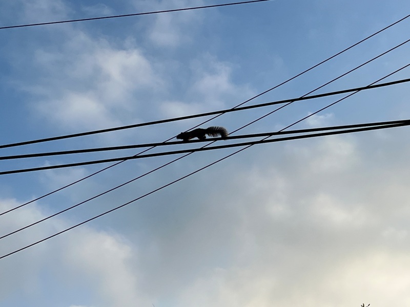 youtian04 竹北-有田咖啡 都市人回歸 田園景觀咖啡在高鐵站旁