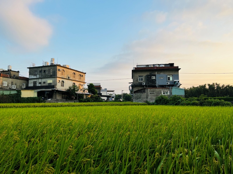 youtian08 竹北-有田咖啡 都市人回歸 田園景觀咖啡在高鐵站旁