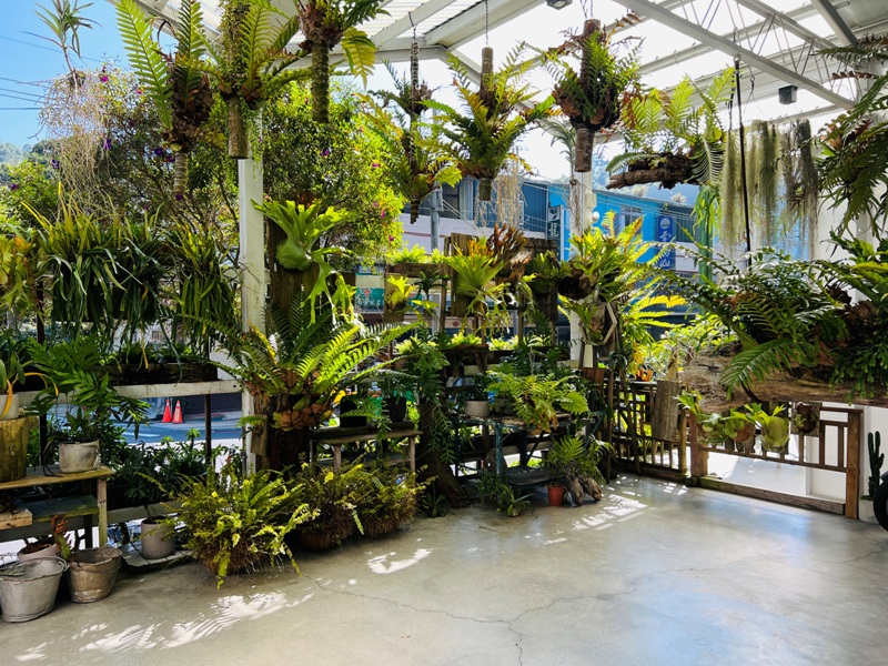 airlibrary06 梅山-空氣圖書館之這裡沒有書