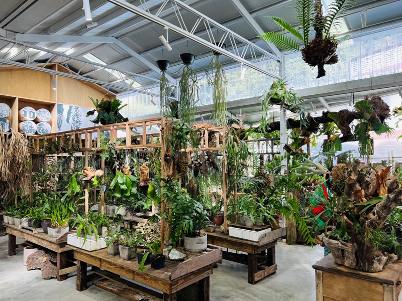 airlibrary10 梅山-空氣圖書館之這裡沒有書