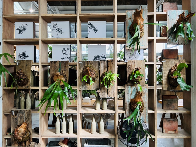 airlibrary21 梅山-空氣圖書館之這裡沒有書